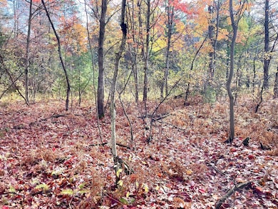 10 Acres W Fletcher Rd, Roscommon, MI 48653 - photo 3