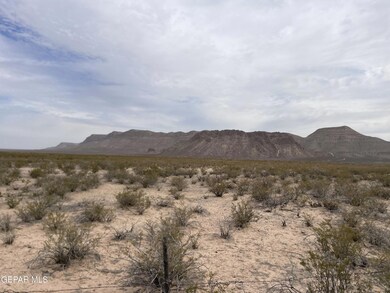 IMG_2204(1)