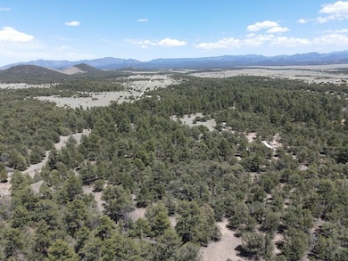 1713 7th Trail, Texas Creek, CO 81223 - photo 2
