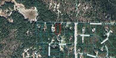 00 SW 80 Place Rd, Dunnellon, FL 34431 - photo 5