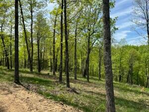 Tract I Ar 7 S, Jasper, AR 72641 - photo 7