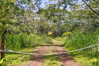 0 Pahoa Kalapana Rd unit 722361, Pahoa, HI 96778 - photo 7