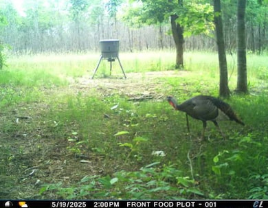 0 Hyde Rd, Phil Campbell, AL 35581 - photo 7