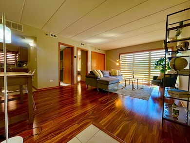 10620 S Central Ave unit 1A, Oak Lawn, IL 60453 - photo 5