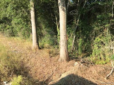 10.5 ACRES Willie Varnum Rd, Dothan, AL 36301 - photo 6