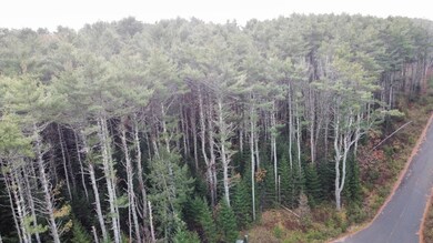 Drone Photo
