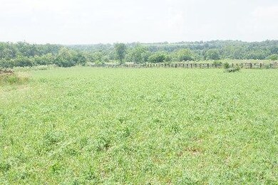 1911 Keene-Troy Rd, Nicholasville, KY 40356 - photo 6