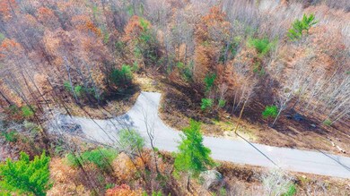 7 Lady Slipper Ln unit 158 / 002 / 000 /, Moultonborough, NH 03254 - photo 4