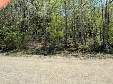 0 Lakeshore Estates Dr unit 528222, Lincolnton, GA 30817 - photo 3