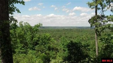 Pt of Lot 10 Mc 8072, Flippin, AR 72634 - photo 4