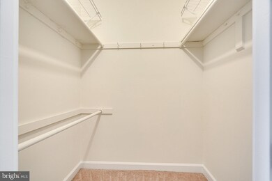 2919 S Columbus St unit B2, Arlington, VA 22206 - photo 5