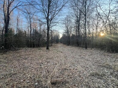 11757 Macon Rd, Unicorp/Eads, TN 38028 - photo 6