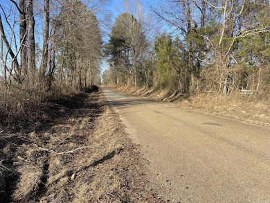 0 Ozan A unit 24032571, Ozan, AR 71855 - photo 6