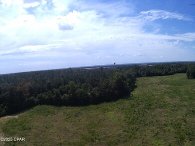 TBD Mashburn Rd, Marianna, FL 32448 - photo 6