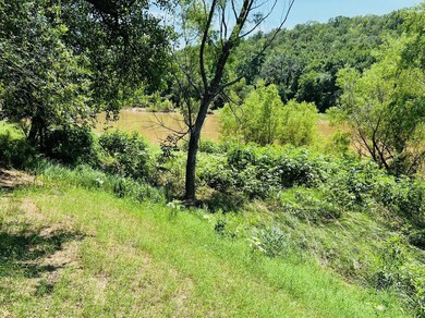 340 S Lazy Bend Estates Rd, Millsap, TX 76066 - photo 7