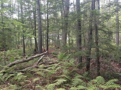 0 Indian Trail unit 1132983, Glocester, RI 02859 - photo 3