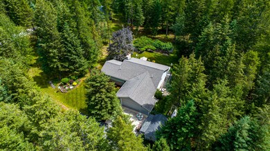 Drone view