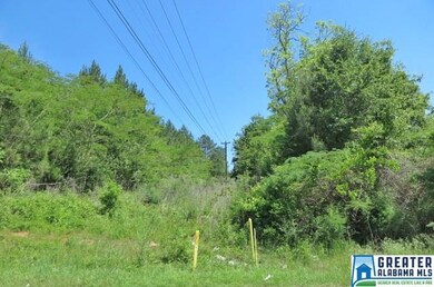 2.5 +/- Acres Highway 431 unit 5, Roanoke, AL 36274 - photo 4