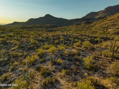 4365 W Cush Canyon Loop unit 82, Marana, AZ 85658 - photo 2