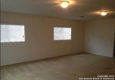 25334 Colt River, San Antonio, TX 78261 - photo 7