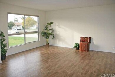 Spacious Sunlit Living Room with New Paint & Wood 