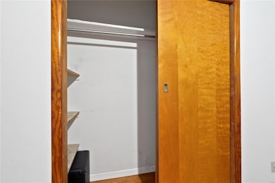Extra large closet with built-in shelves