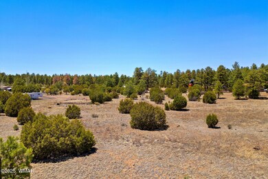 2821KeltonCir-Heber-AZ-13