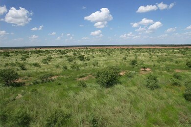 Tbd Cr 483, Hawley, TX 79525 - photo 7