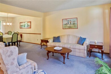 9789 Wainwright Terrace, Olmsted Falls, OH 44138 - photo 5