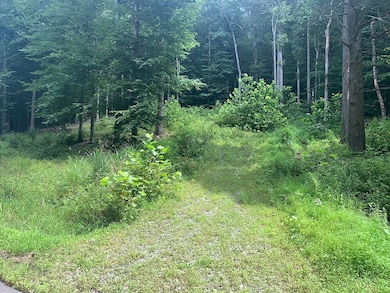 00 Mountain Laurel Rd, Summersville, WV 26651 - photo 3