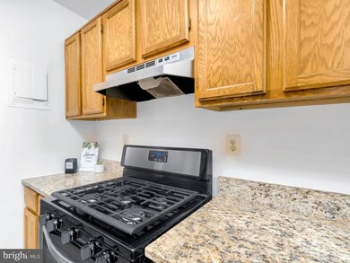 3800 Lyndhurst Dr unit 301, Fairfax, VA 22031 - photo 5