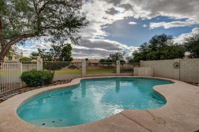 Palm Brook (44)