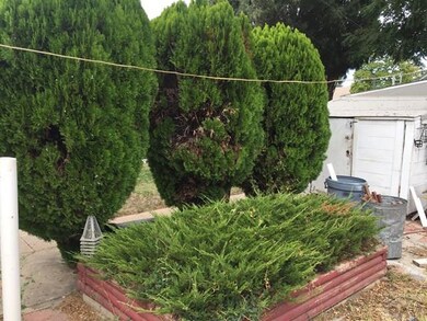 Back yard shruberry