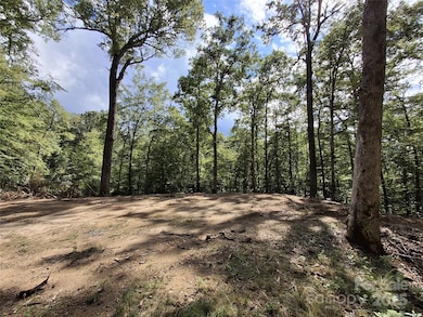 79 Bacon Dr unit 3, Bryson City, NC 28713 - photo 5