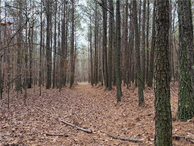 0 Branson Crossing Rd, Kingston, GA 30145 - photo 6