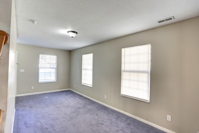 833 W 250 N, Spanish Fork, UT 84660 - photo 4