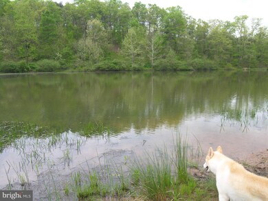 19 Mountain Heritage Estates Rd, Slanesville, WV 25444 - photo 3