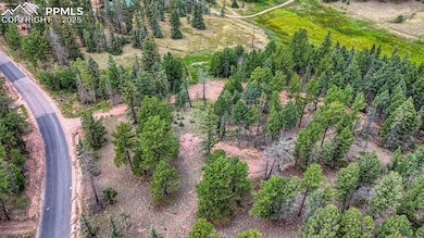 18 Falcon Cir, Florissant, CO 80816 - photo 3