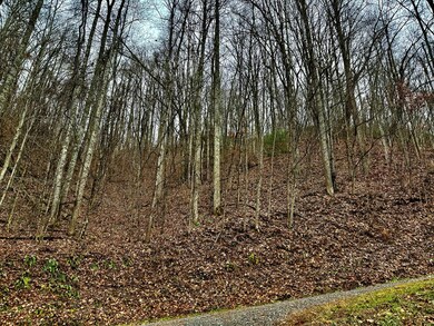 unlisted-address, Barkers Creek, NC 28789 - photo 4