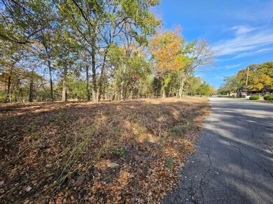 1503 S French Ave, Denison, TX 75020 - photo 2