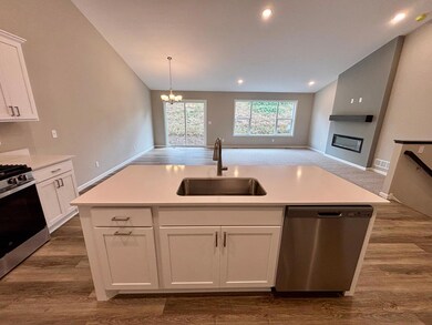 425 Mallard St NE, Hanover, MN 55341 - photo 6