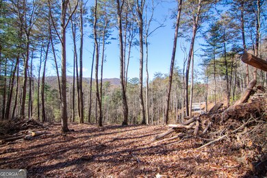 LOT 2A Clay's Way, Blue Ridge, GA 30513 - photo 6