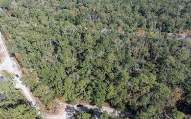 TBD Cr 349, Obrien, FL 32071 - photo 2