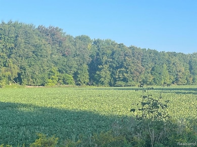 02 Howland Rd, Almont Township, MI 48003 - photo 3