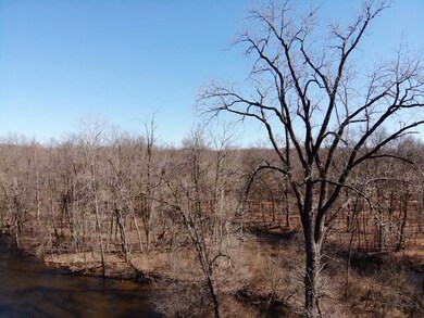 Lot 7 Triple Oak Dr NE, Vergennes Township, MI 49331 - photo 7