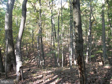 0 Seldom Seen & Bob unit WVMO117614, Great Cacapon, WV 25422 - photo 6