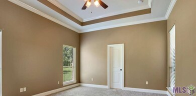 The master bedroom at the back of the home has a t