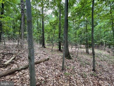 0 White Church Rd, Shippensburg, PA 17257 - photo 4