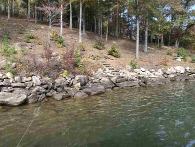 314 Knollwood Dr unit EB32, Salem, SC 29676 - photo 7