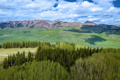 E36 Prospect Dr, Mt. Crested Butte, CO 81225 - photo 4